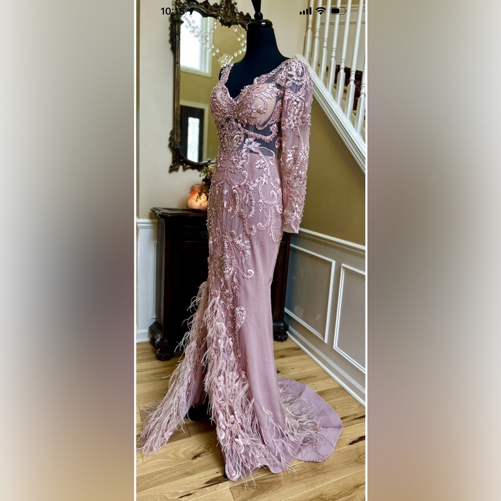Portia and Scarlett Blush Long Sleeve Feather Fringed Embroidered Gown Size 6 - Picture 6 of 16